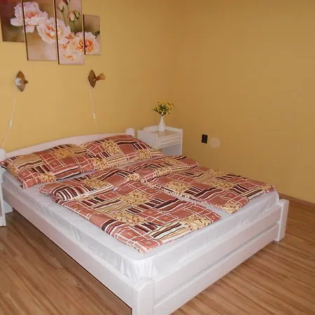 Apartment Bora Vendeghaz