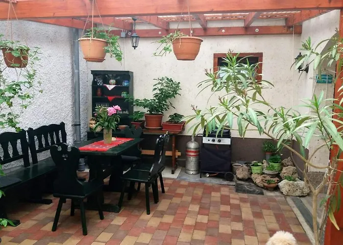 Bora Vendeghaz